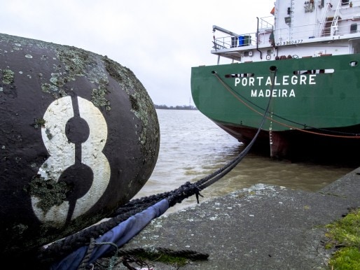 Ce navire d'un armateur portugais est immobilisé au port de Bordeaux depuis un an et demi. (Photo P-M. Borgne/Rue89 Bordeaux)