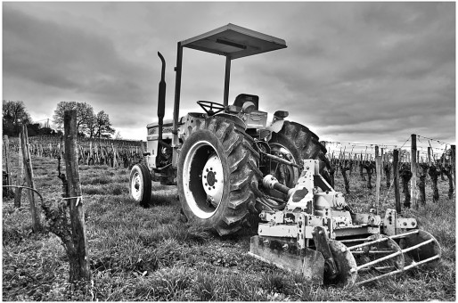 tracteur dans les vignes près de Fronsac (Photo Dominique Garcin-Geoffroy/flickr/CC)
