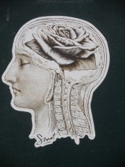 Cerveau de rose, cc Jeanne Menjoulet & Cie