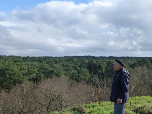 André Gousset, administrateur de l'Addufu, contemple la forêt usagère de l'autre côté de la route de Biscarosse (CB/Rue89 Bordeaux)