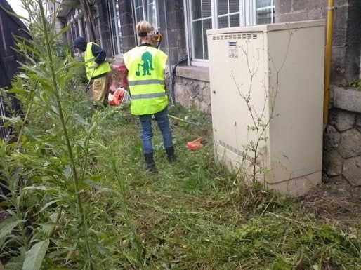 Travaux de désherbage menés par les jeunes Tapajeurs pour la Ville de Bordeaux (DR)