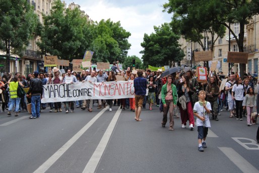 La marche contre Monsanto a connu un franc succès à Bordeaux (WS/Rue89 Bordeaux)