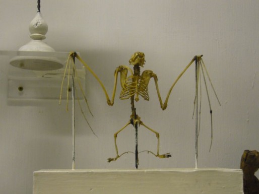 Squelette de chauve-souris, en 2007 avant la fermeture du Muséum (Dam's/flickr/CC)