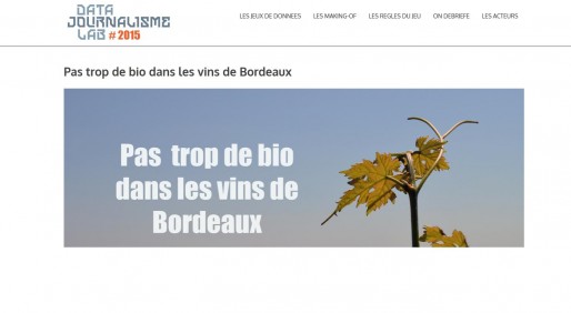 Pas trop de bio dans les vins de Bordeaux (DR)