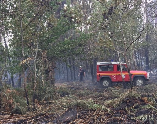 Pompier dans la forêt (Photo Département de la Gironde/DR)