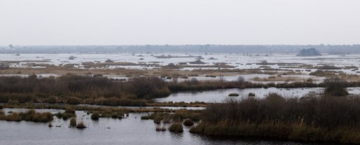 L'étang de Cousseau, une des réserves naturelles du département (ec-photos(graphies)/flickr/CC) 