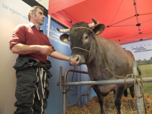 L'éleveur landais Joël Sillac et sa vache Cerise, ce lundi 15 février au conseil régional d'Aquitaine Limousin Poitou-Charentes (SB/Rue89 Bordeaux)