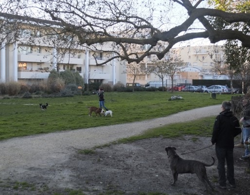 Les chiens aboient, mais les préfabriqués passeront au Jardin de ta sœur (SB/Rue89 Bordeaux)
