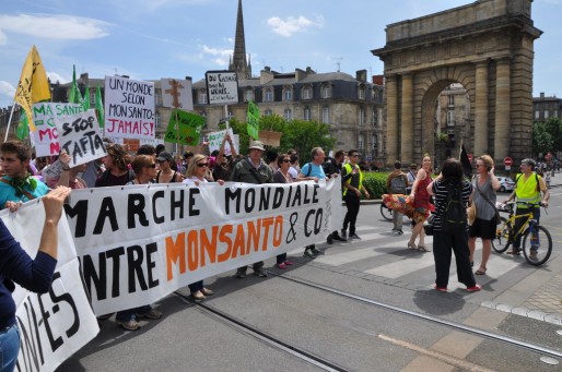 Deux milles personnes ont marché contre Monsanto à Bordeaux (Xavier Ridon/Rue89 Bordeaux)