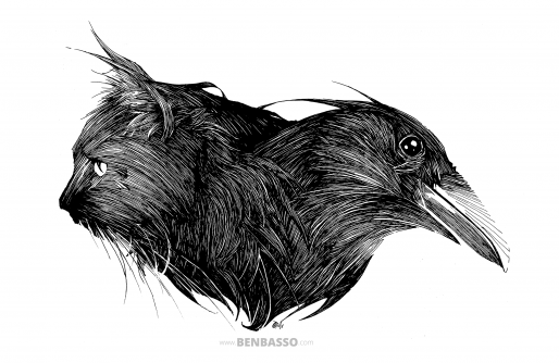 Ravencat (Dessin : Ben Basso)