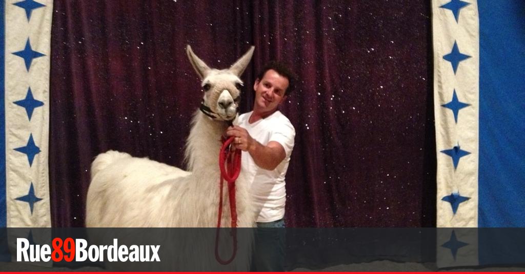 Serge le lamamania cachets et portraits crachés