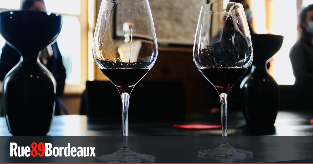 Following the fires, the 2022 vintage of Bordeaux wines is not cooked