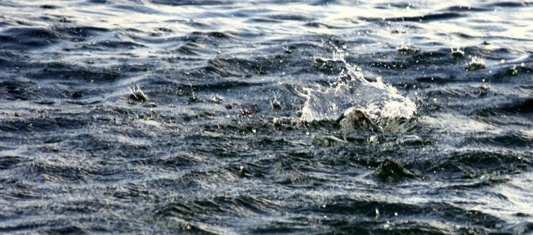 Fortes crues attendues en Gironde