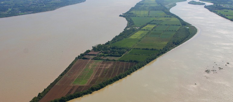 Estuaire de la Gironde : les îles refont surface