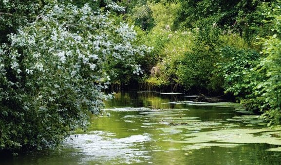 L’eau se ressource grâce à l’agriculture bio