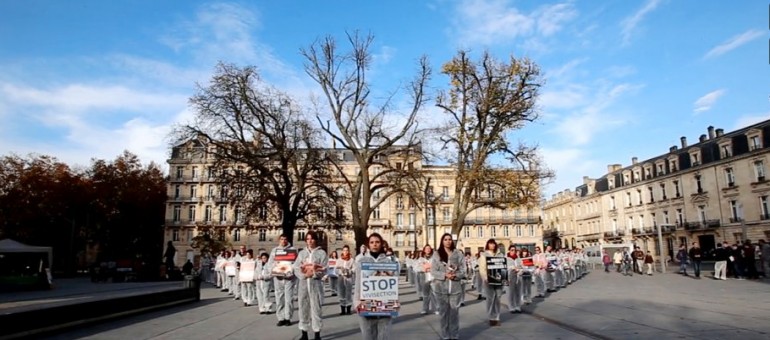 Film sur la mobilisation bordelaise pour Stop Vivisection