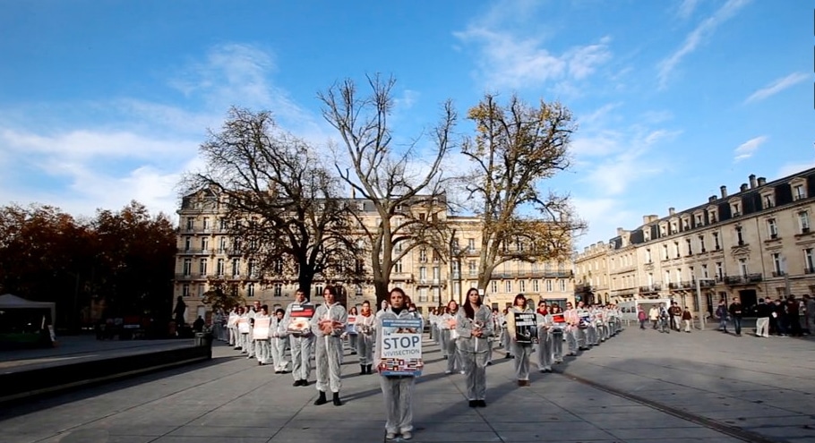 Film sur la mobilisation bordelaise pour Stop Vivisection