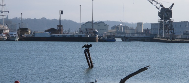 Les entreprises des Bassins à flot naviguent à vue