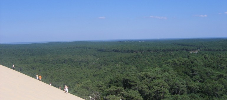 Qui veut racheter la Dune du Pilat et sa forêt ?