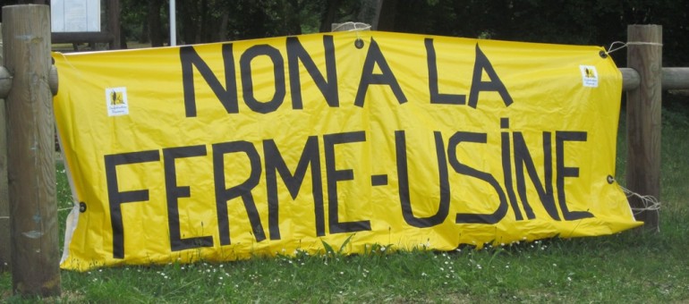 Manifestation à Bordeaux contre la ferme des 12000 porcs