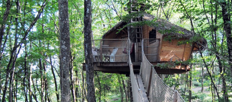 Passez des nuits insolites au fond des bois