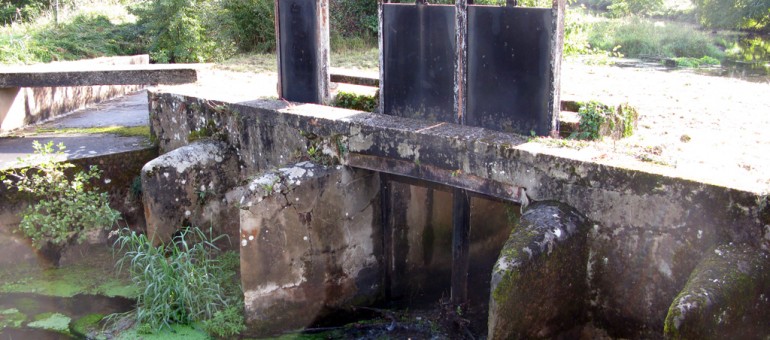 Mesures d’urgence après la pollution des eaux de la Jalle