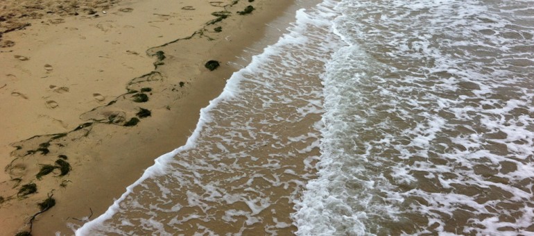 Surfrider met le « Cap sur le littoral » d’Aquitaine