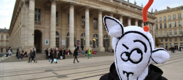 Whybook, le mouton rebelle défie Facebook
