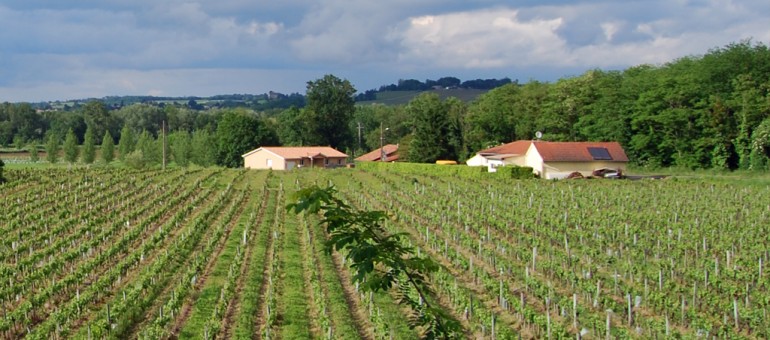 Les Vins de Bordeaux menacent d’entraver PestiRiv, l’étude sur les effets des pesticides
