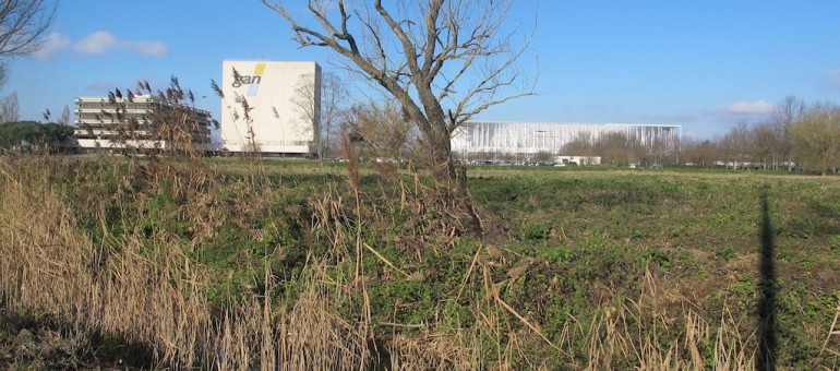 De petites maisons dans la prairie à Bordeaux Nord ?