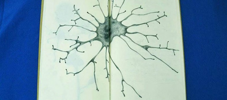 Rencontres : le vitiligo vu par l’art et la science