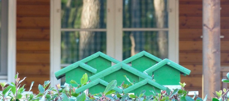 Ha-pa, vitrine pour l’habitat participatif en Aquitaine
