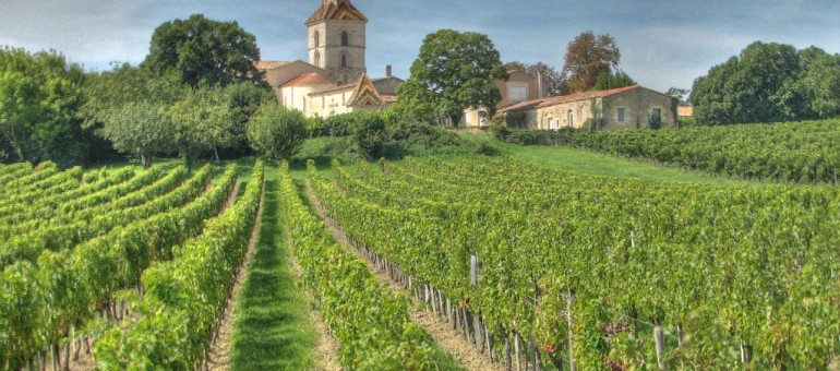 Pesticides : ce que prévoit le préfet pour les vignes de Gironde