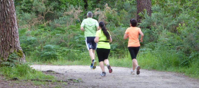 Running, crossfit, trail… où courir dans la métropole bordelaise ?
