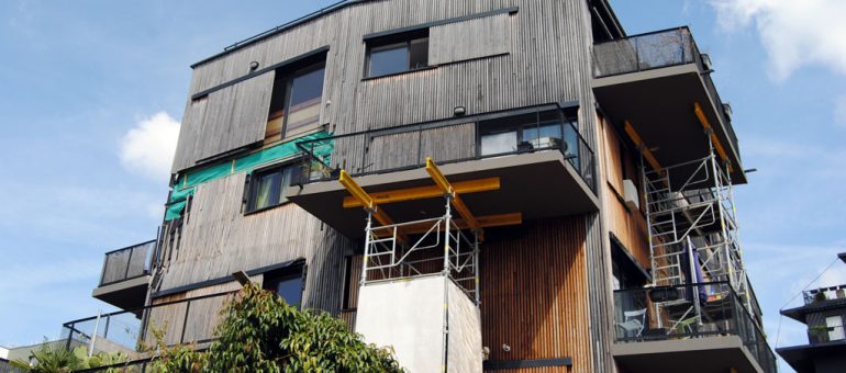 Un an après, il y a encore un lézard avec le balcon de Ginko