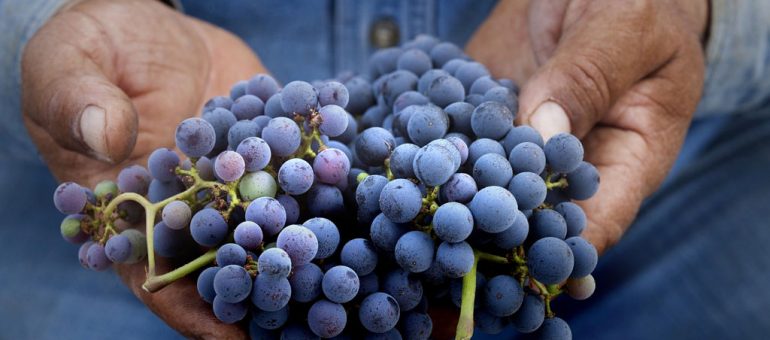 Crowdfunding #1 : Winefunding, ou comment devenir (un peu) châtelain