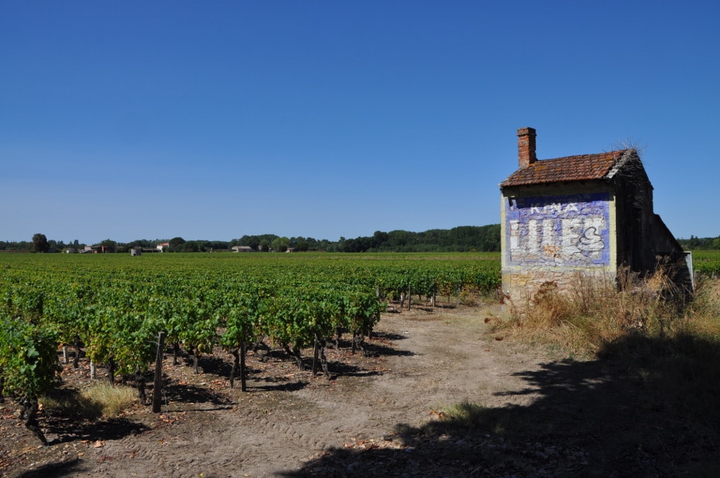 Des vins de Bordeaux plus verts pour mieux se vendre ?