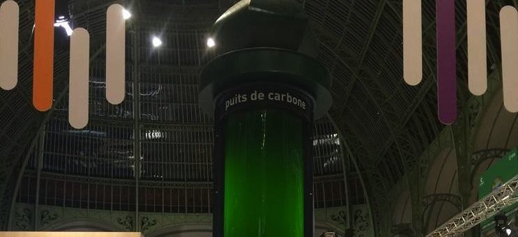 Des microalgues girondines pour dépolluer l’air de Paris