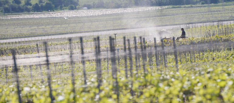 Des pesticides détectés dans une école et plusieurs habitations du Médoc