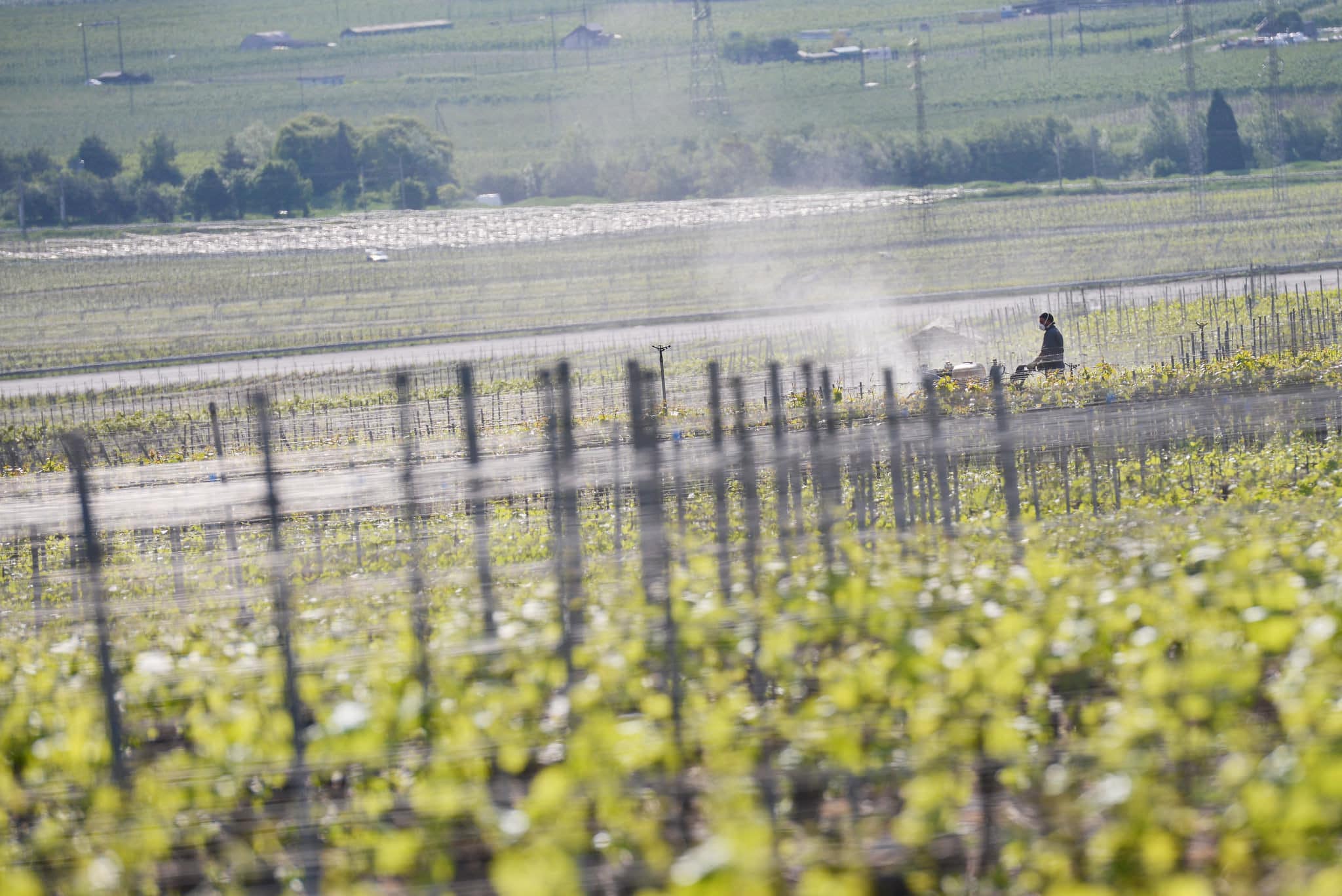 Étude UFC-Que Choisir sur les vins de Bordeaux : les anti-pesticides voient rouge