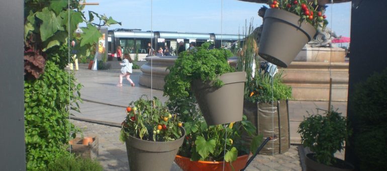 Agora, graine de cité jardin à Bordeaux ?