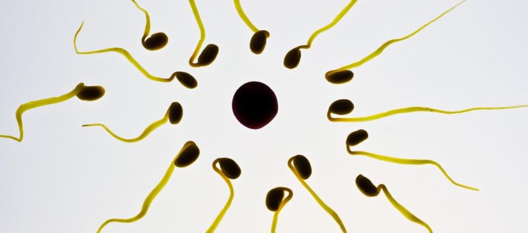 Vasectomie : des Bordelais prennent leur contraception en main
