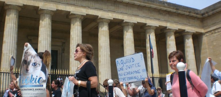 Ils demandent justice pour Cookie, la chatte martyre