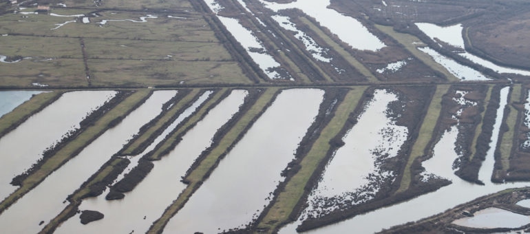 Un épandage de Suez irrite 25 communes de Gironde et titille la Préfecture