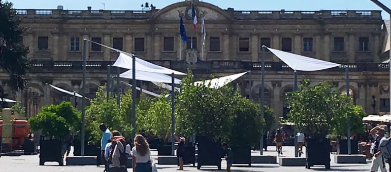 A Bordeaux, l’arbre qui cache le Palais Rohan