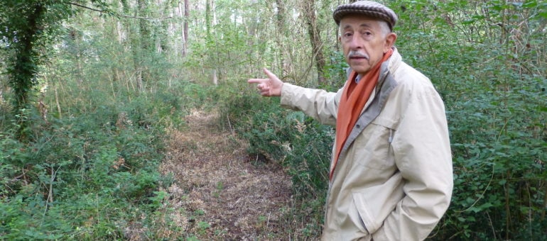 A Uzeste, des citoyens rachètent la forêt pour la protéger
