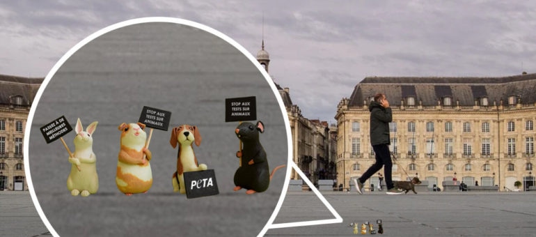 Peta signe une action virtuelle à Bordeaux contre l’expérimentation animale