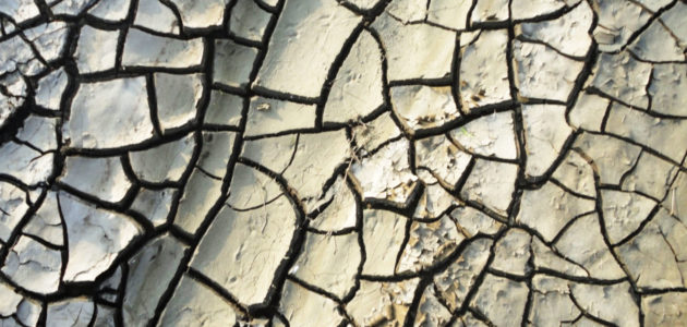 Appel pour « une humanité durable » après la pandémie du Covid-19