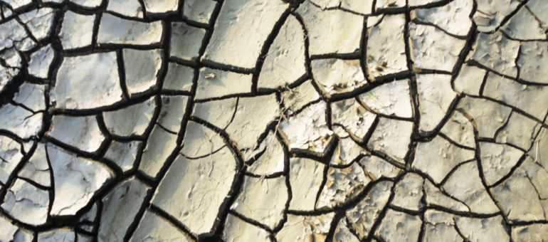 Appel pour « une humanité durable » après la pandémie du Covid-19