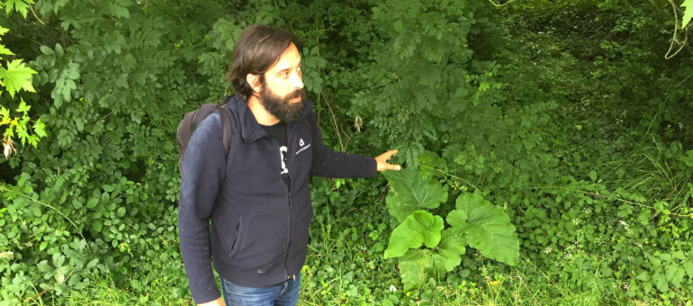 Thomas Ferrand, le mage des mets sages et des herbes folles